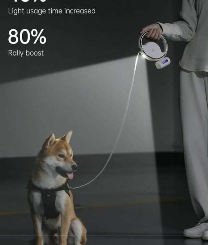 بند نگهدارنده (لیش) سگ چراغ قوه دار ۳ متری PET