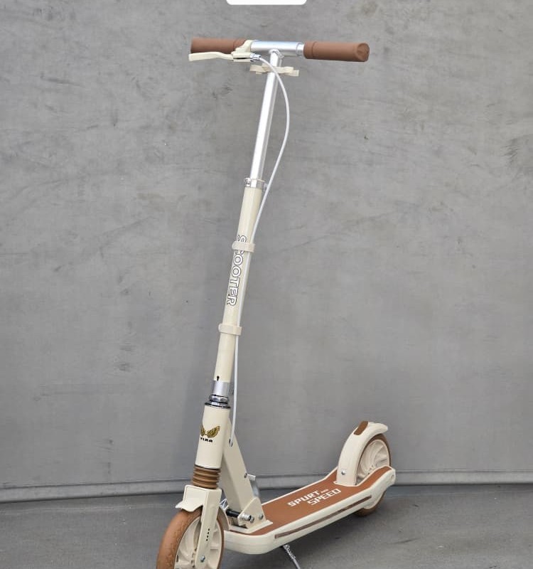 اسکوتر دسته دار KayanZara