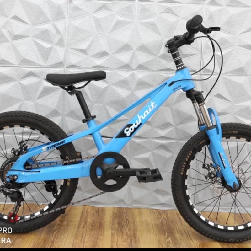 دوچرخه 20 منیزیمی فوق سبک لاکچری دنده ای