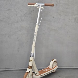 اسکوتر دسته دار KayanZara