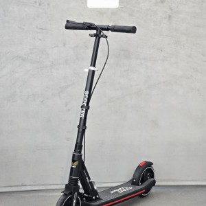 اسکوتر دسته دار KayanZara