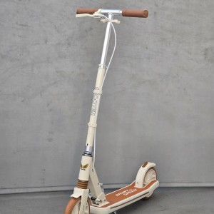 اسکوتر دسته دار KayanZara