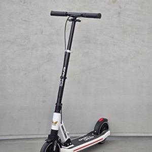 اسکوتر دسته دار KayanZara