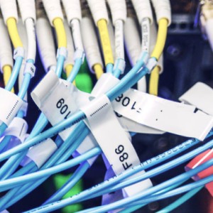 لیبل حرارتی  کابل  اصلی رنگ سفید سایز T25*38+38/2L