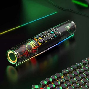 اسپیکر SOAIY مدل SH19s