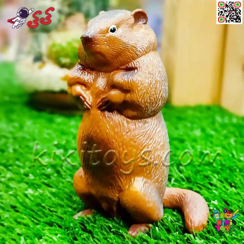 فیگور حیوانات ماکت سنجاب زمینی و مارموت اسباب بازی Marmot figure 1011
