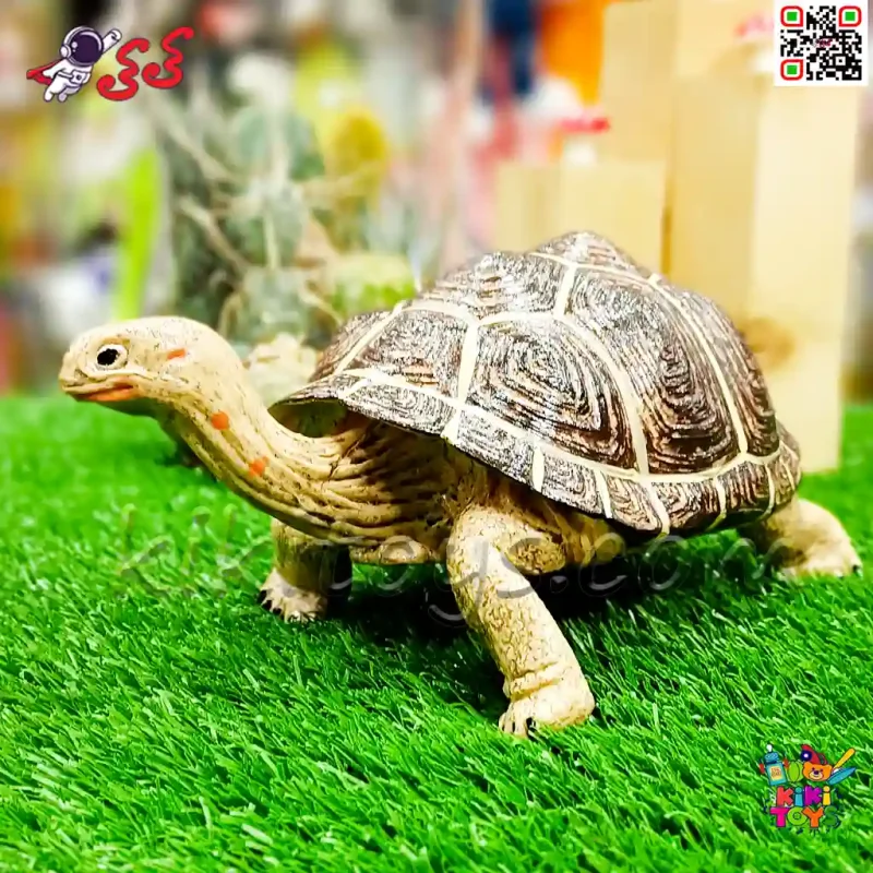 فیگور حیوانات ماکت لاک پشت اسباب بازی 1312 Land turtle figure