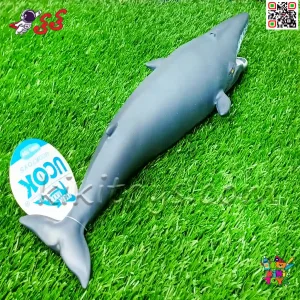 ابعاد استاندارد (۳۰ سانتی‌متر طول) ایده‌آل برای کلکسیون حیوانات دریایی یا آموزش درباره بزرگ‌ترین موجود زمین