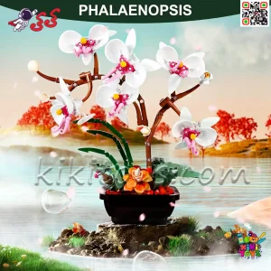 کیت ساختنی گل ارکیده JAKI مخصوص بزرگسالان
