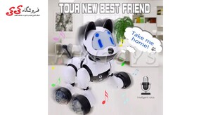 قیمت و خرید سگ رباتی کنترل صوتی یودی YOUDI