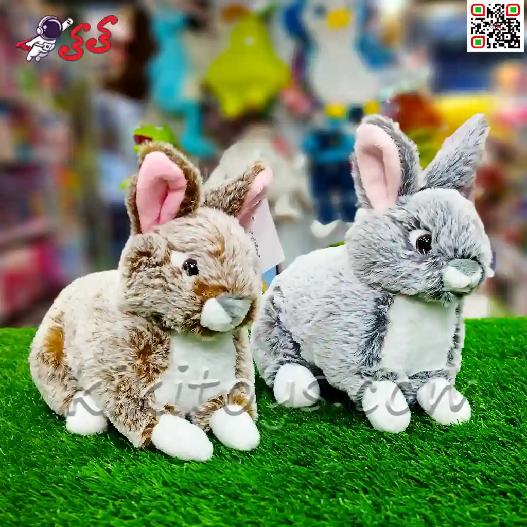 قیمت+عکس+سایت+خرید+عروسک+خرگوش طبیعی+1402