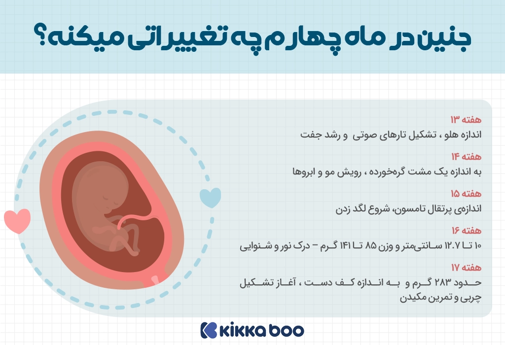 تغییرات هفته به هفته جنین در ماه چهارم بارداری