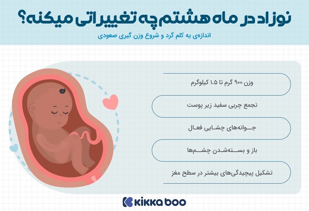 رشد هفته به هفته جنین در ماه هشتم بارداری