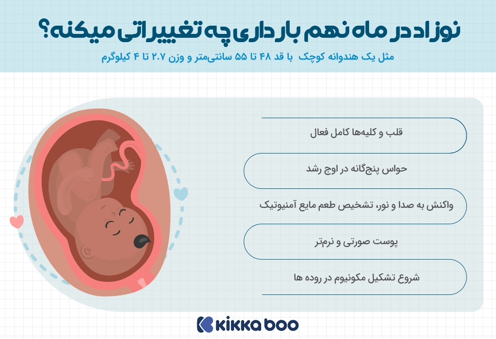 رشد نوزاد در ماه نهم بارداری