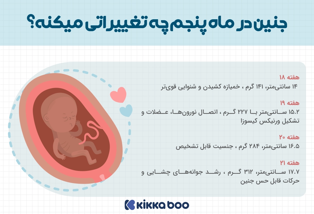 لیست تغییرات جنین در ماه پنجم بارداری