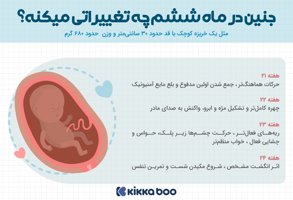 تغییرات جنین در ماه ششم بارداری