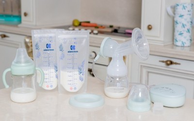 همه چیز در مورد شیردوش + راهنمای استفاده صحیح از شیردوش