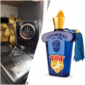 مفیستو کازامراتی  پرفیوم ۵۰ میل