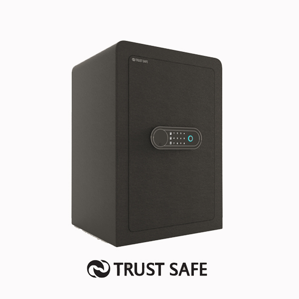 گاوصندوق خانگی کد FW50 برند تراست سیف