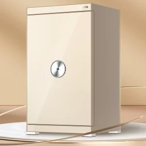 گاوصندوق کد SBX602 برند PHILIPS