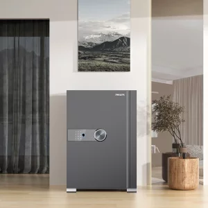 گاوصندوق کد SBX202 برند PHILIPS