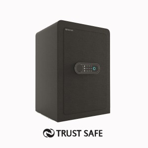 گاوصندوق خانگی کد FW50 برند تراست سیف