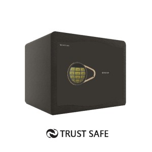 گاوصندوق خانگی کد 30CRH برند تراست سیف