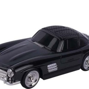 اسپیکر بلوتوثی کلاسیک رودستر WSTER وستر مدل WS300SL