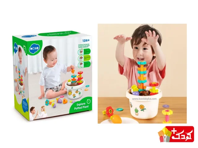 پازل گلدان هوش هولی تویز مدل HE795800