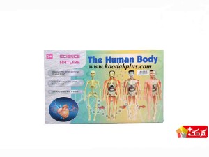 اسباب بازی آموزشی مولاژ کامل بدن مدل The Human Body 3302
