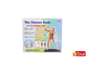 اسباب بازی آموزشی مولاژ کامل بدن (29 تکه) مدل The Human Body 3303