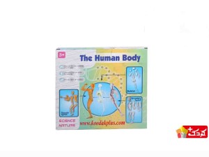 اسباب بازی آموزشی مولاژ کامل بدن (29 قطعه) مدل The Human Body 3303