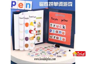 کتاب مگنتی وایت بردی