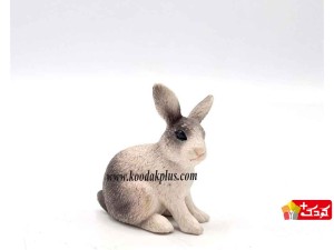 فیگور خرگوش نر و ماده