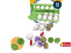 پک 12 عددی تخم مرغ های چفت شونده آموزش دایناسور