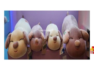 عروسک پولیشی خوک نرم خوابیده نانو کد 055 Pig