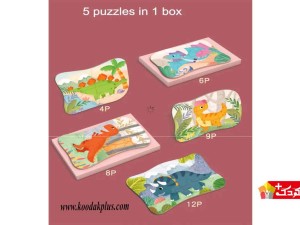 مجموعه پازل چوبی 5 در 1 (از آسان تا سخت)