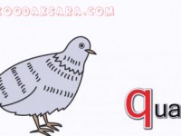 koodaksara_dot_com_930123__alphabet_sounds_5.jpg