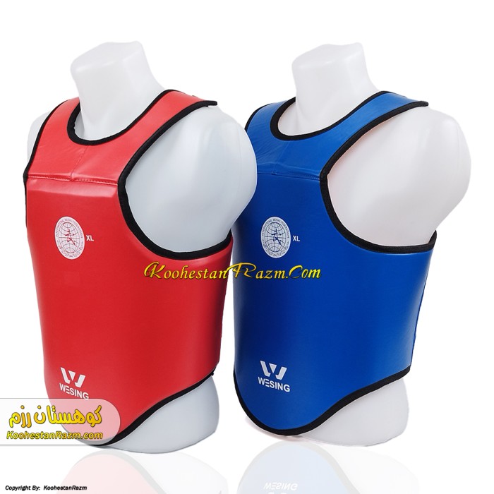 هوگو ساندا طرح ویسینگ