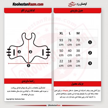 هوگو ساندا طرح ویسینگ