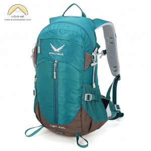 snow hawk light 24