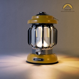 نمایندگی نیچرهایک