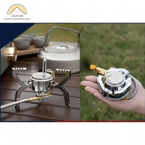 سرشعله شلنگدار اسپلیت مدل BUERK AEM-010C