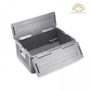جعبه نظم دهنده نیچرهایک