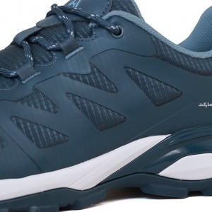 کفش پیاده روی