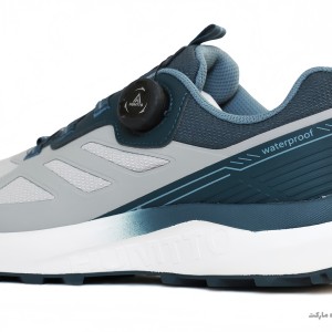 کفش پیاده روی