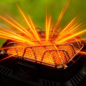 بخاری اسنوهاوک