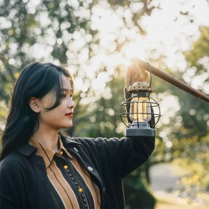 چراغ فانوسی نیچرهایک