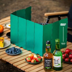 بادگیر دور سرشعله 10 پر