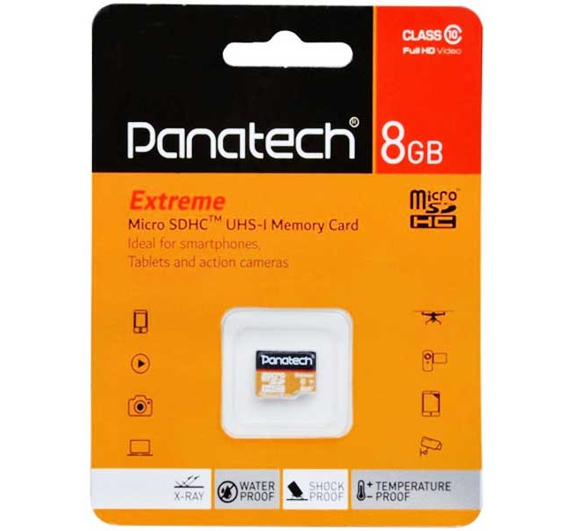 رم میکرو Panatech C10 8GB